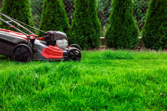 giardini privati a foresto sparso